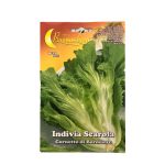 ESCARIOL ENDIVE خس