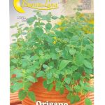Origano