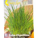 chives