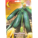 SQUASH Zucchini (Copy) (نسخة)