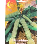 SQUASH Zucchini (Copy) (نسخة)
