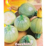 SQUASH Zucchini (Copy)