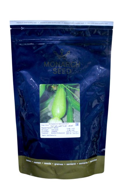Squash hybrid baliza F1