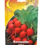 Radish فجل (3)