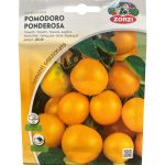 TOMATO (4) طماطم