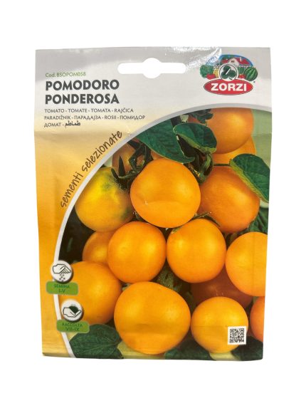 TOMATO (4) طماطم
