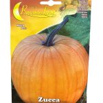 Pumpkin يقطين