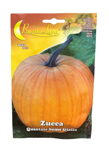 Pumpkin يقطين