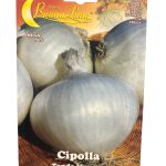 Onion بصل (5)