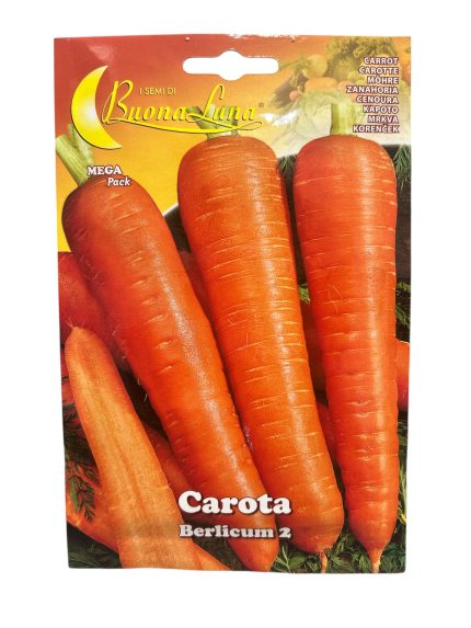 CARROT جزر (3)