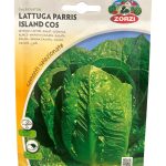 LUTTUCE خس (3)