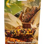 CORN ORNAMENTAL ذرة زينة (2)
