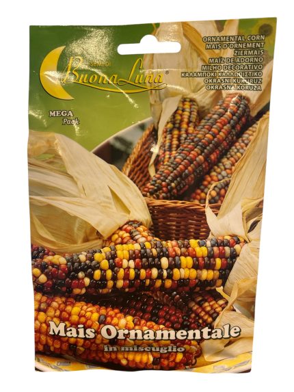 CORN ORNAMENTAL ذرة زينة (2)