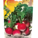Radish فجل (4)