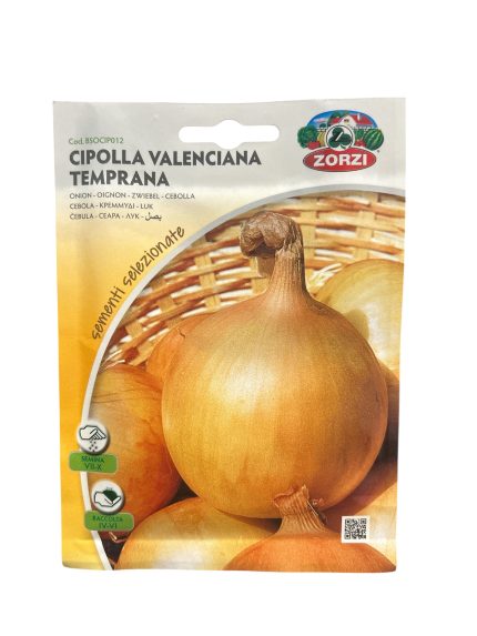 Onion بصل (4)