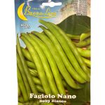 DWARF BEANS فاصوليا خضراء (2)