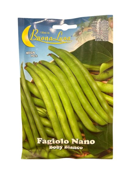 DWARF BEANS فاصوليا خضراء (2)