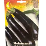 EGG PLANT باذنجان (4)