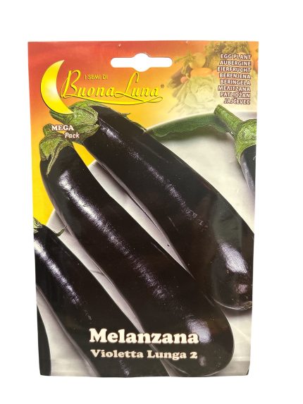 EGG PLANT باذنجان (4)