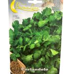 Coriander كزبرة